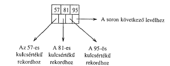 B+ fa levél